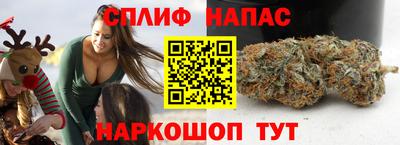 прущие грибы Тара