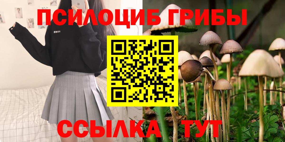Псилоцибиновые грибы Psilocybe Новотроицк